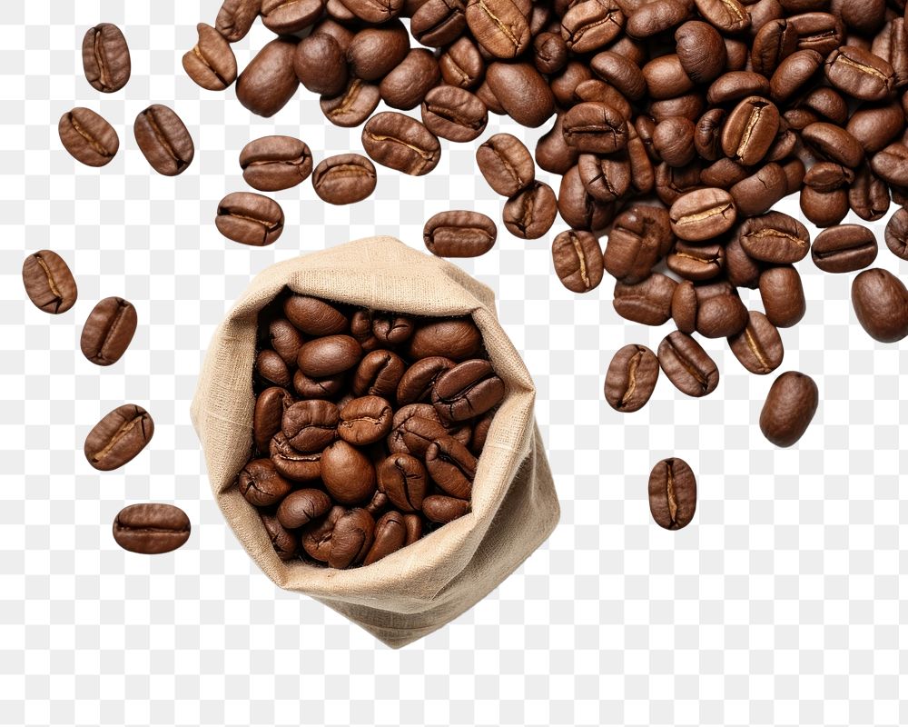 PNG Coffee beans brown white background ingredient. AI generated Image by rawpixel.