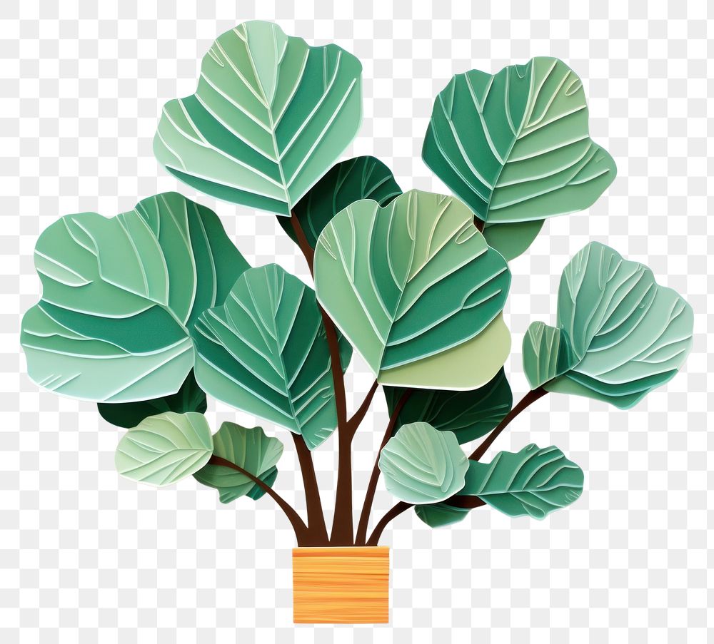 PNG Fiddle-leaf fig houseplant art creativity handicraft. AI generated Image by rawpixel.