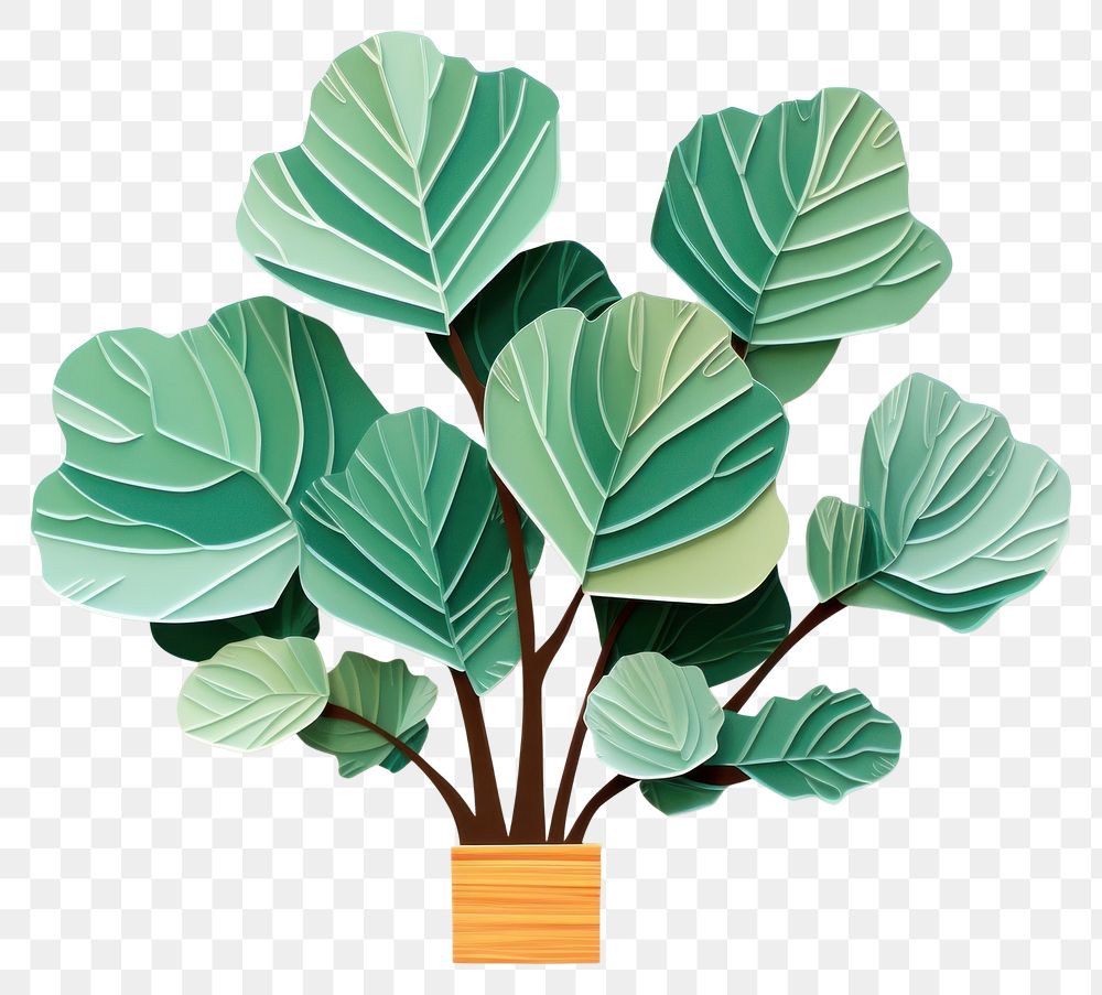 PNG Fiddle-leaf fig houseplant art creativity handicraft. 