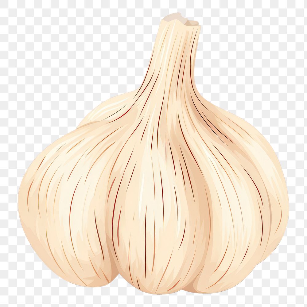 PNG Garlic garlic vegetable plant. AI generated Image by rawpixel.