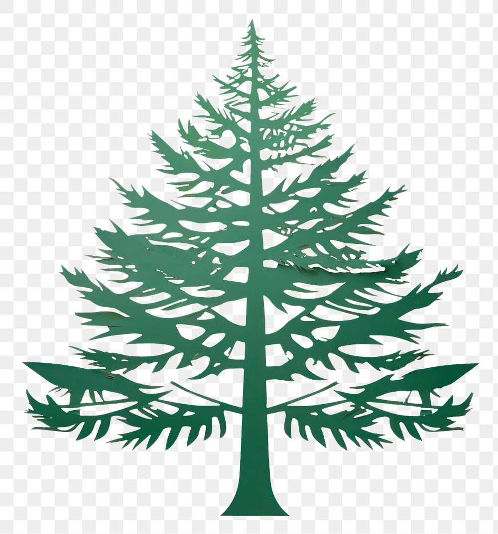 PNG Pine tree christmas plant leaf. AI generated Image by rawpixel.