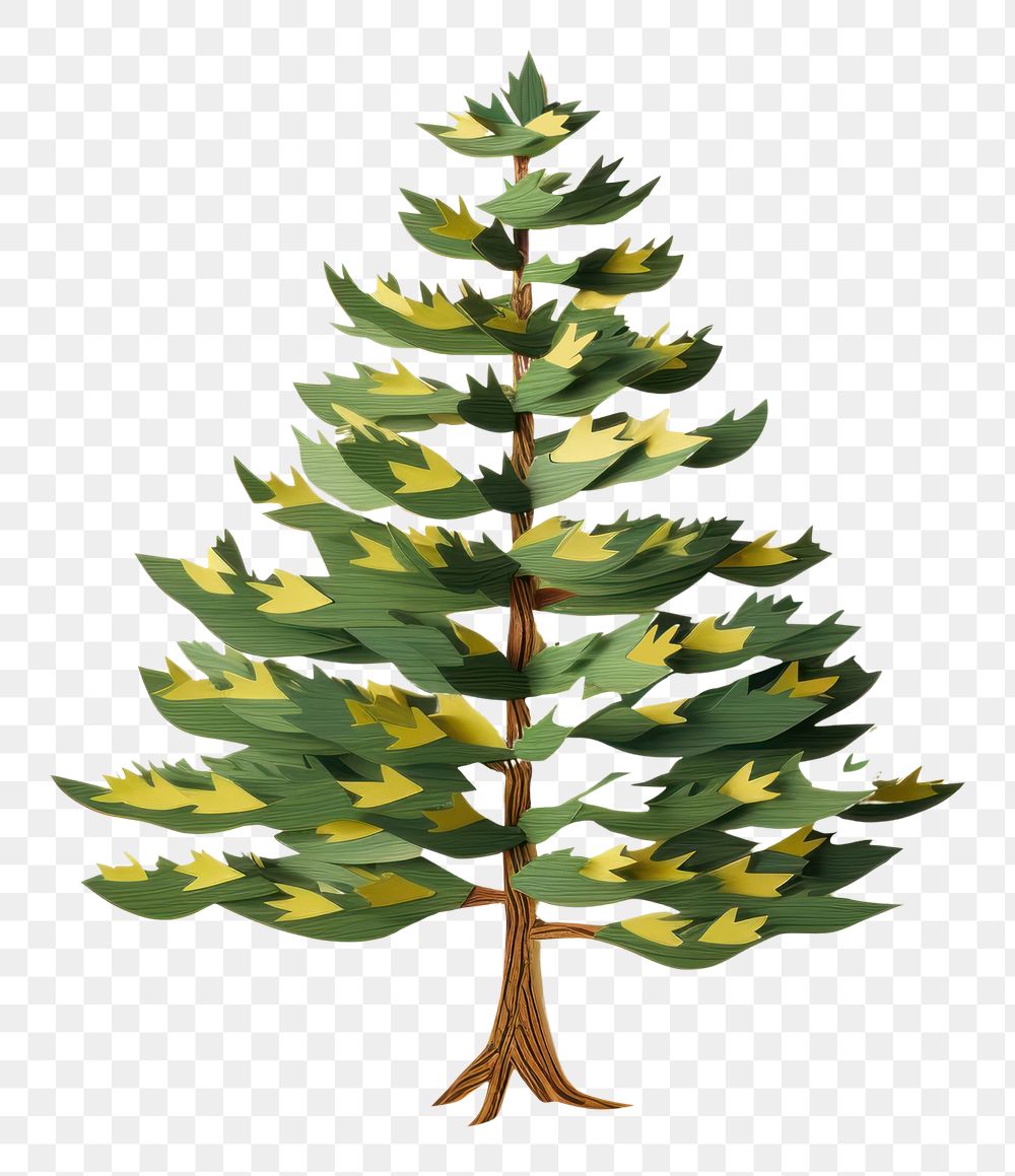 PNG Pine tree christmas plant creativity. 