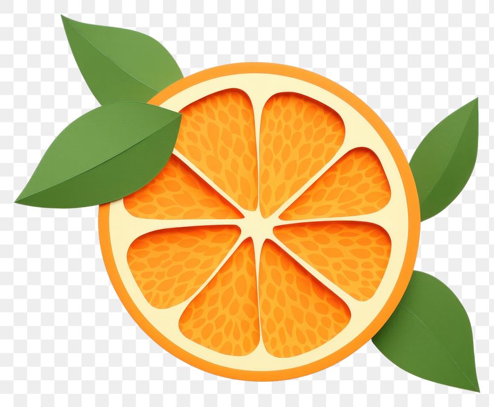 PNG Orange grapefruit plant food. AI generated Image by rawpixel.