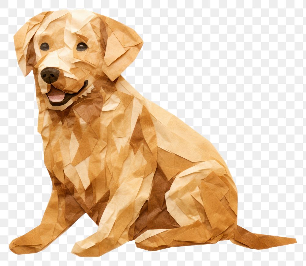 PNG Golden Retriever dog retriever mammal animal. AI generated Image by rawpixel.
