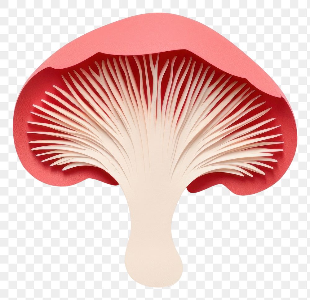PNG Mushroom fungus plant white background. AI generated Image by rawpixel.