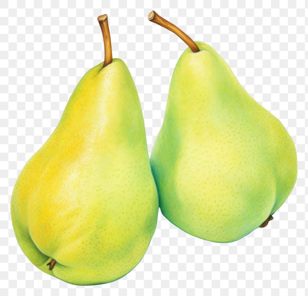 PNG Pears fruit plant food. 