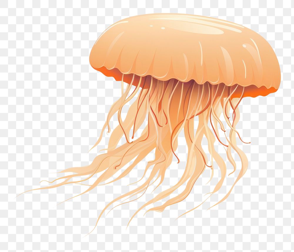 PNG Jellyfish animal invertebrate underwater. AI generated Image by rawpixel.