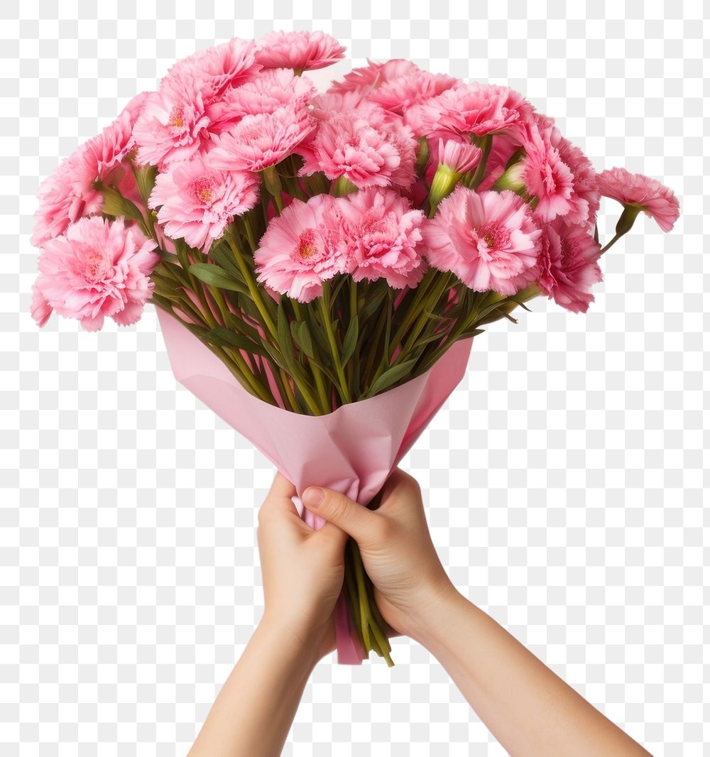 PNG Pink flower bouquet holding plant adult. AI generated Image by rawpixel.