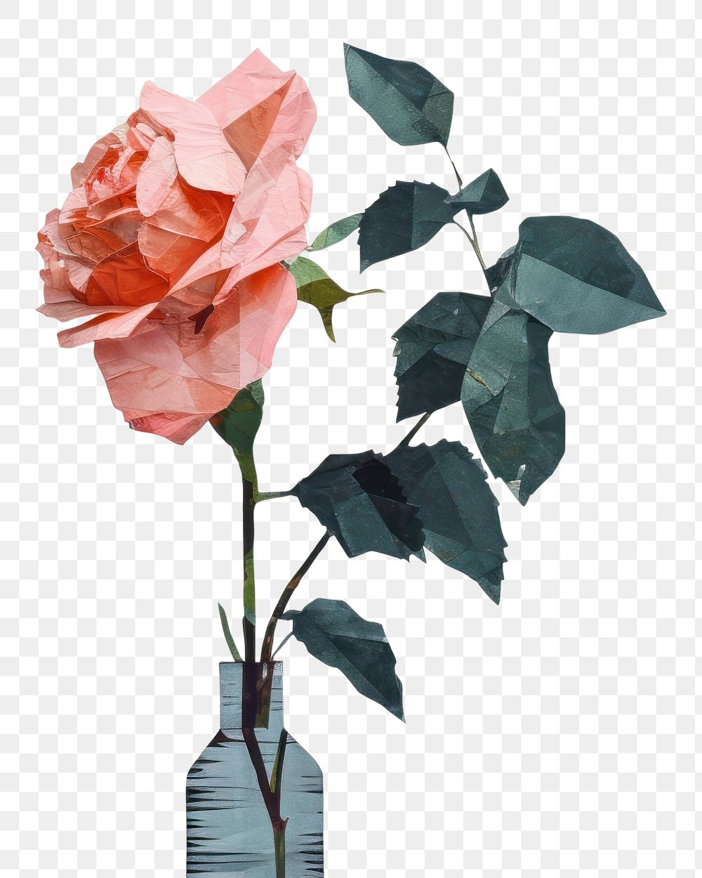 PNG Flower nature plant rose. AI generated Image by rawpixel.