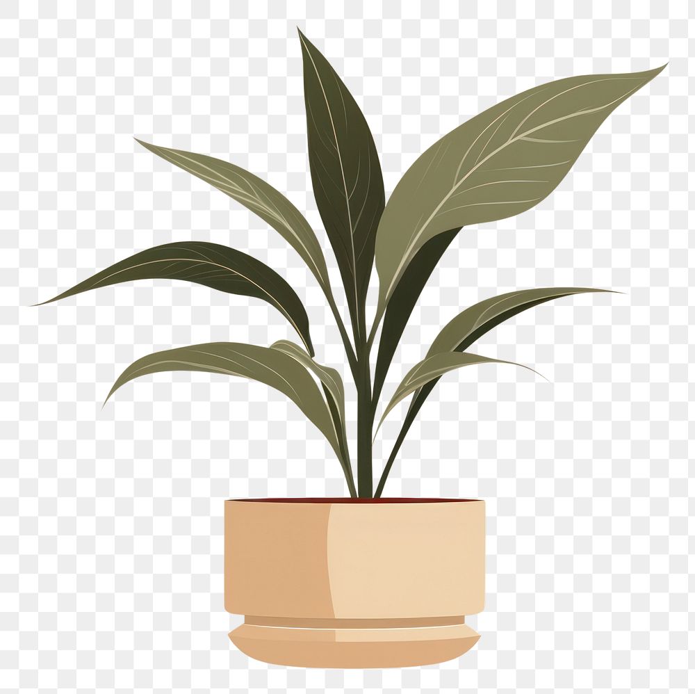 PNG Plant leaf houseplant flowerpot. AI generated Image by rawpixel.