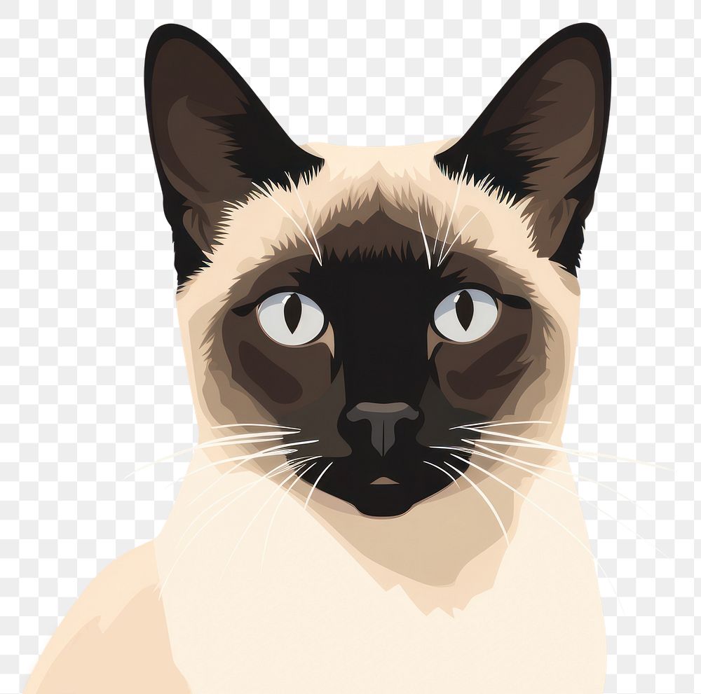 PNG Siamese cat animal mammal pet. AI generated Image by rawpixel.