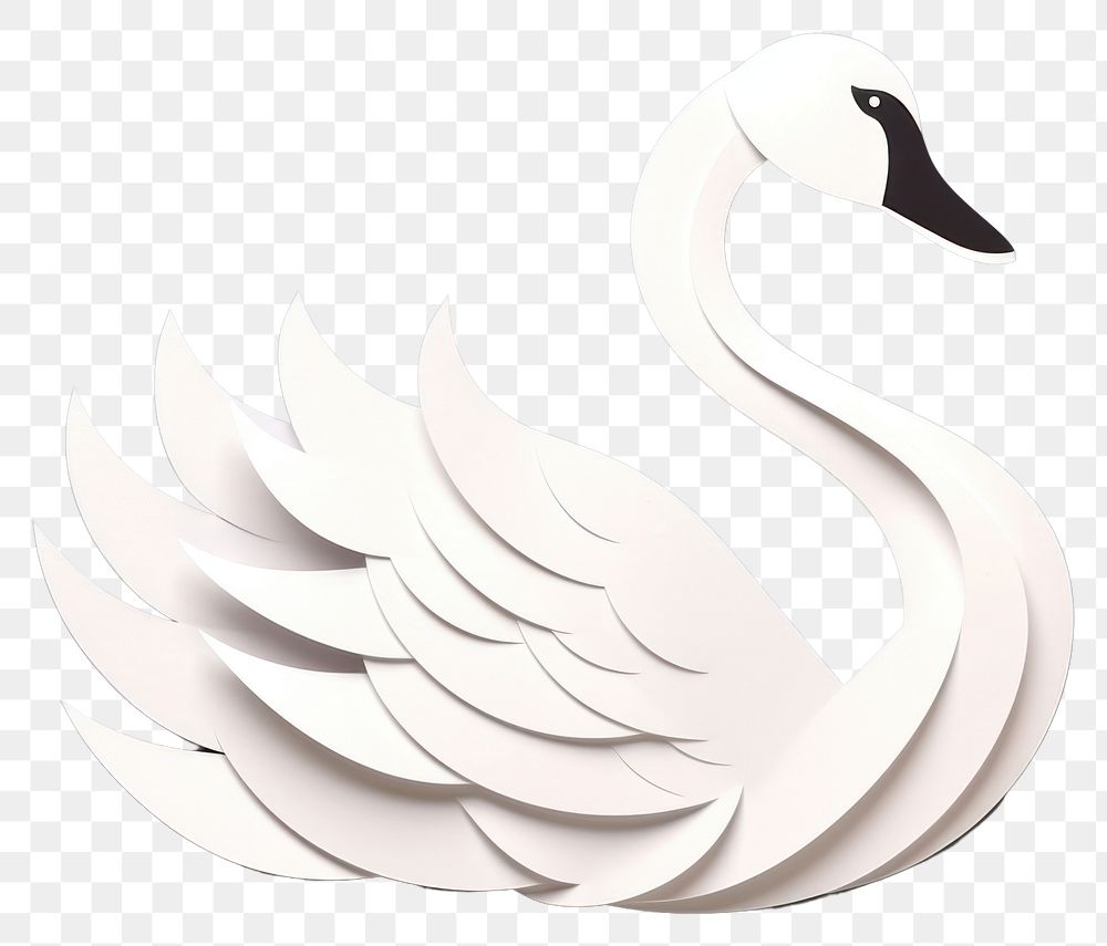 PNG Swan animal bird gray background. AI generated Image by rawpixel.