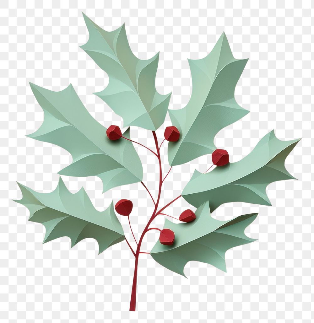 PNG Holly leave christmas plant leaf. AI generated Image by rawpixel.