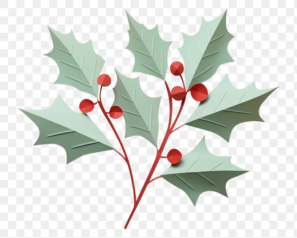 PNG Holly leave christmas plant leaf. 