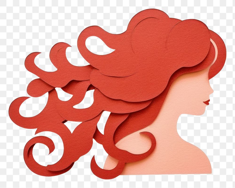 PNG Hair drie white background representation creativity. 