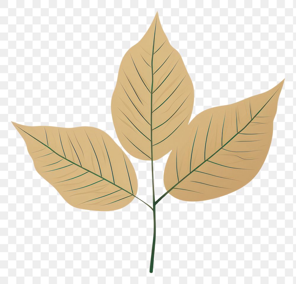 PNG Green leaf plant tree pattern. AI generated Image by rawpixel.
