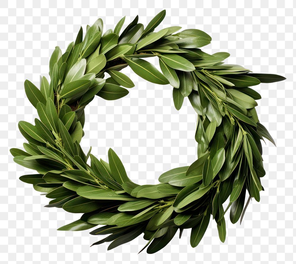 PNG Wreath leaf plant white background. AI generated Image by rawpixel.