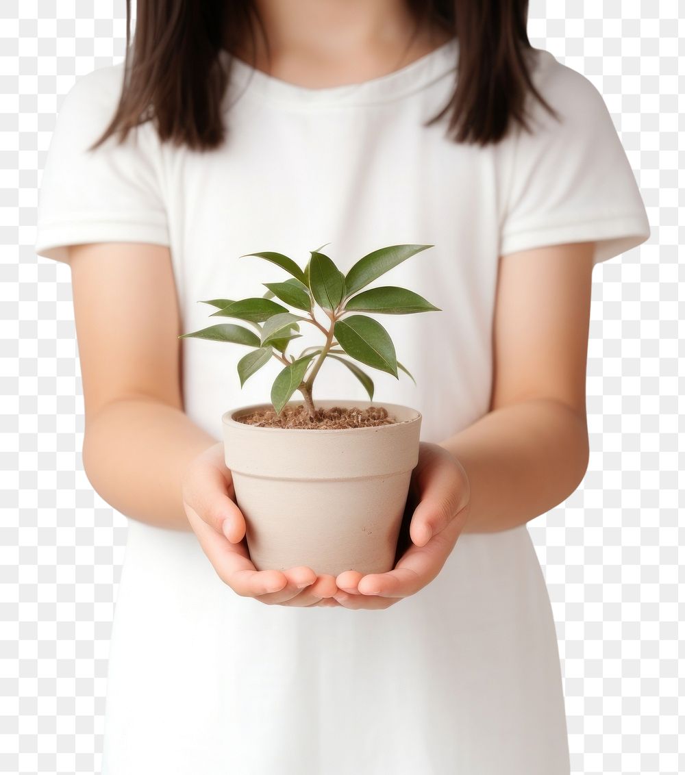 PNG Little girl hand holding potted give windowsill portrait sleeve. AI generated Image by rawpixel.
