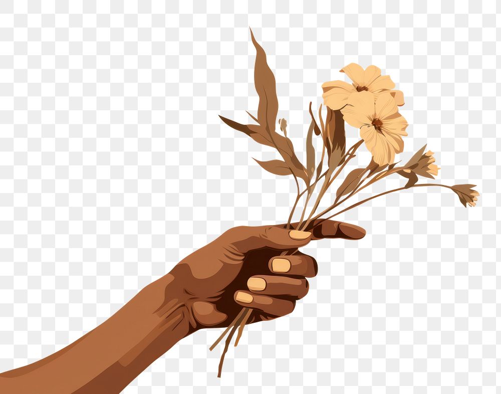 PNG Dried flower sketch plant hand. AI generated Image by rawpixel.