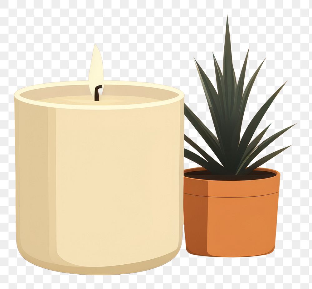 PNG Candle plant houseplant flowerpot. AI generated Image by rawpixel.