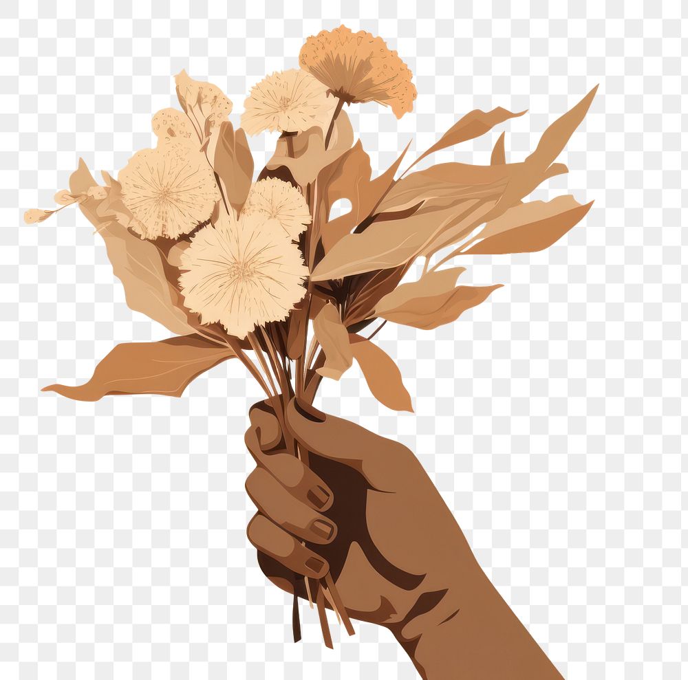 PNG Dried flower sketch plant hand. 