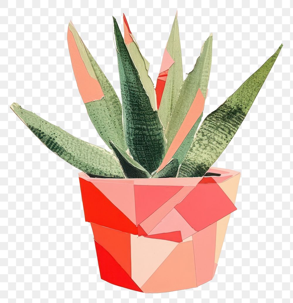 PNG Potted aloe vera plant art creativity. AI generated Image by rawpixel.