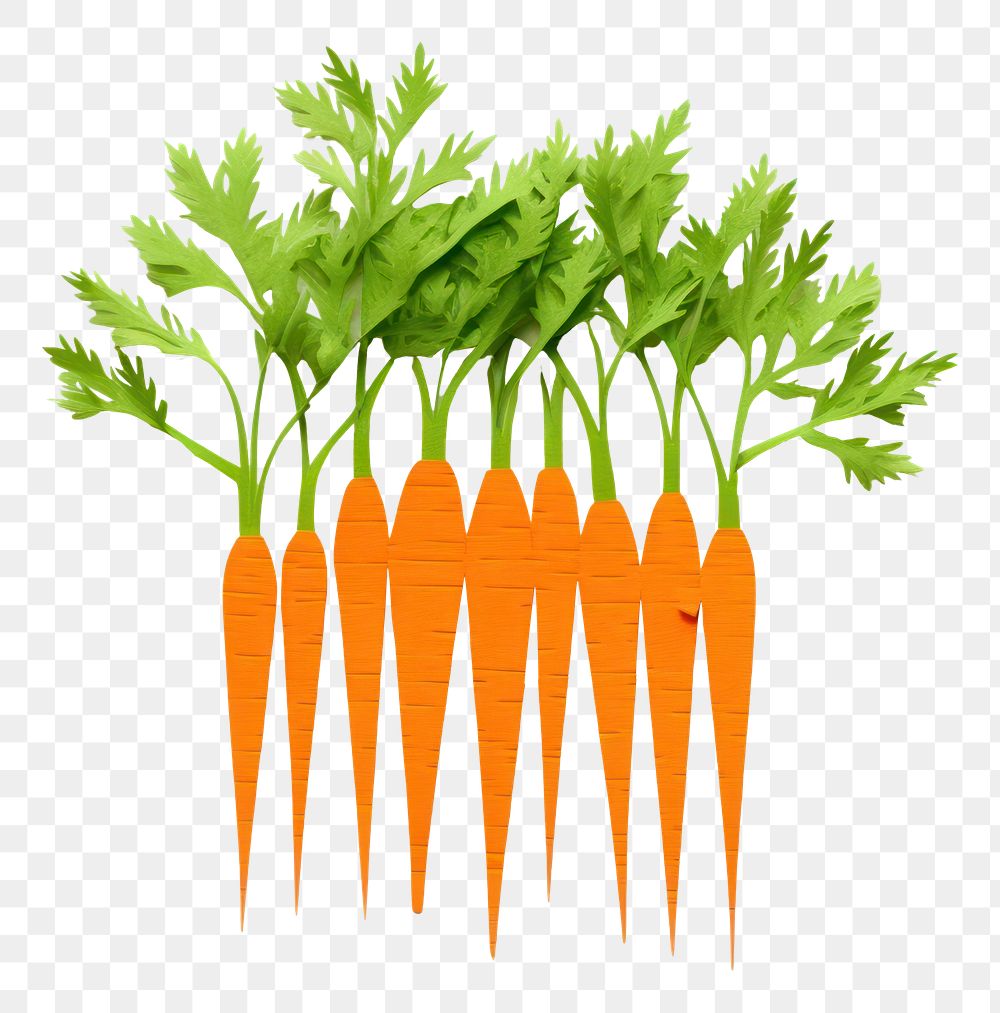 PNG Sliced carrots vegetable plant herbs. AI generated Image by rawpixel.