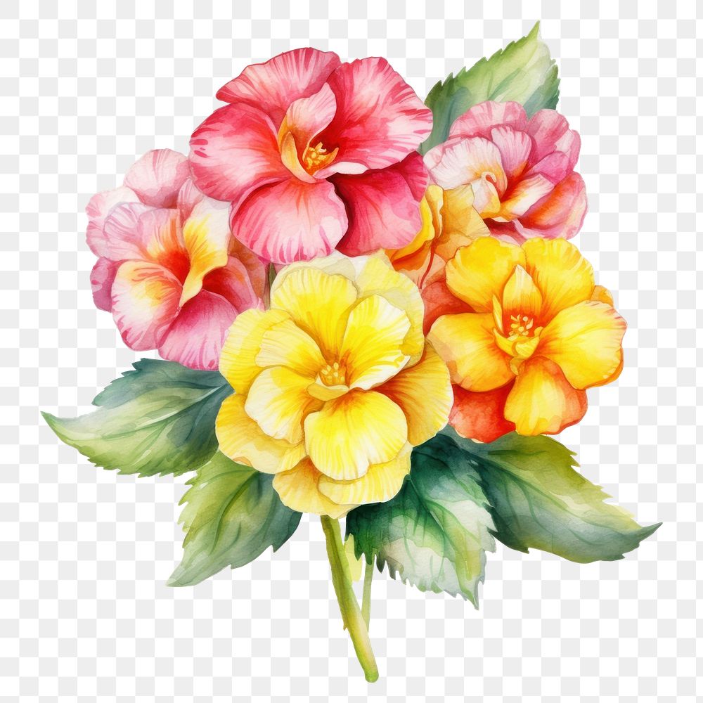 PNG Watercolor flower petal plant. AI generated Image by rawpixel.
