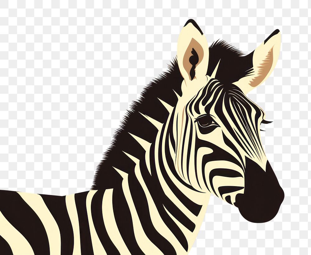 PNG Zebra wildlife animal mammal. AI generated Image by rawpixel.