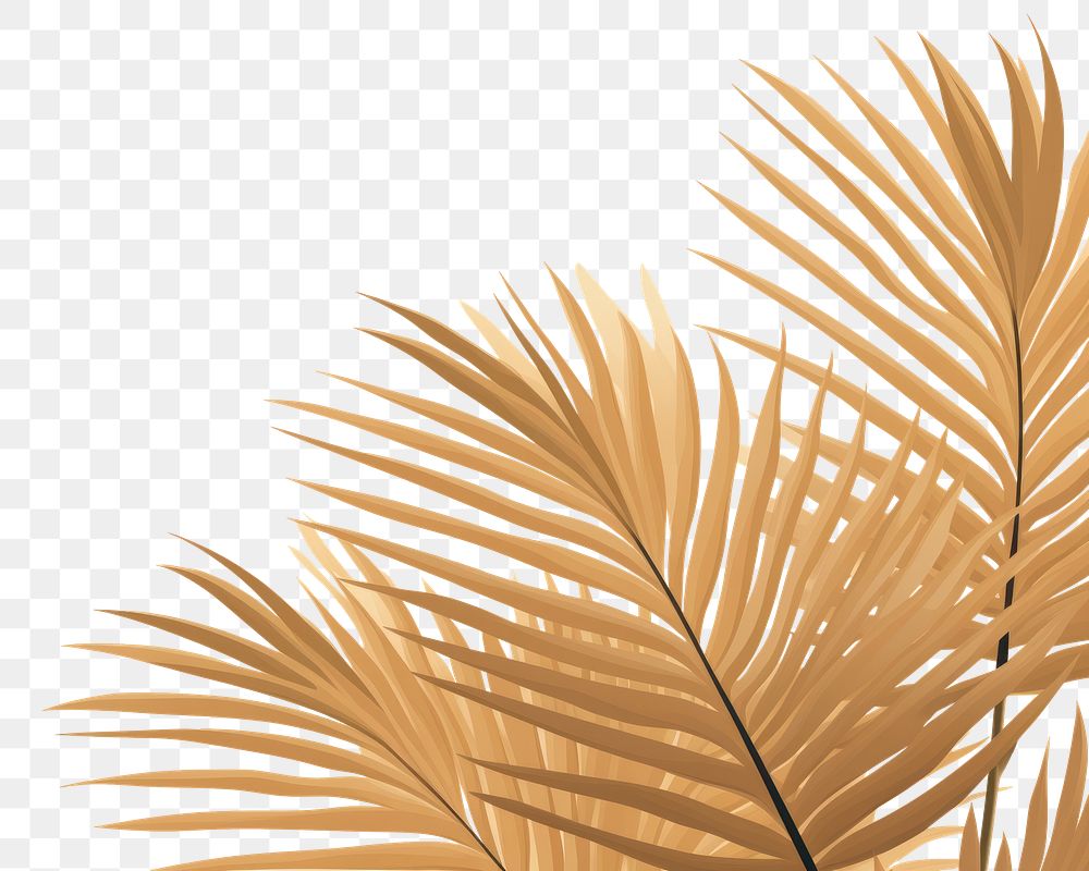 PNG Palm leaves backgrounds outdoors pattern. AI generated Image by rawpixel.