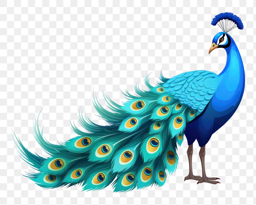 PNG Peacock cartoon peacock animal bird. AI generated Image by rawpixel.