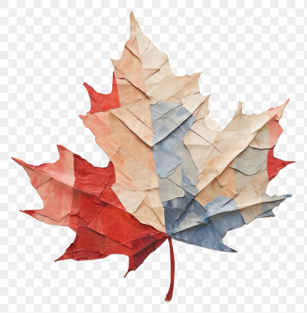 PNG Maple leaf paper creativity pattern. AI generated Image by rawpixel.