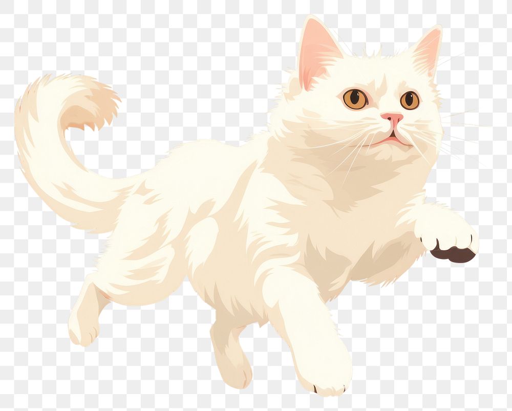 PNG Jumping white cat animal mammal pet. 