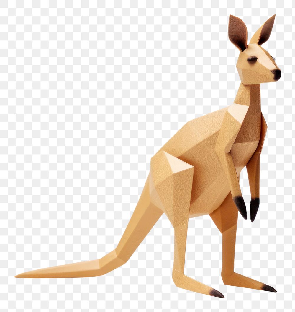 PNG Australia kangaroo wallaby animal. AI generated Image by rawpixel.