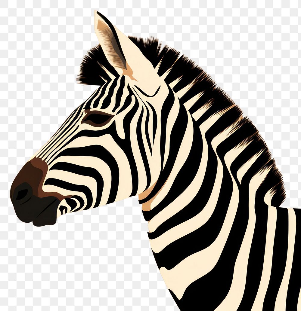 PNG Zebra wildlife animal mammal. AI generated Image by rawpixel.