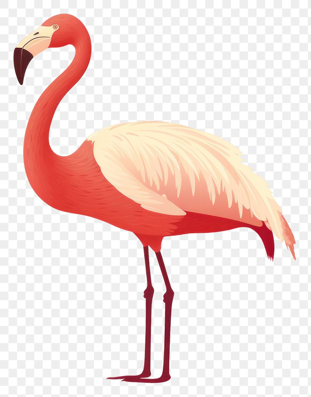 PNG Flamingo bird wildlife animal cartoon. 