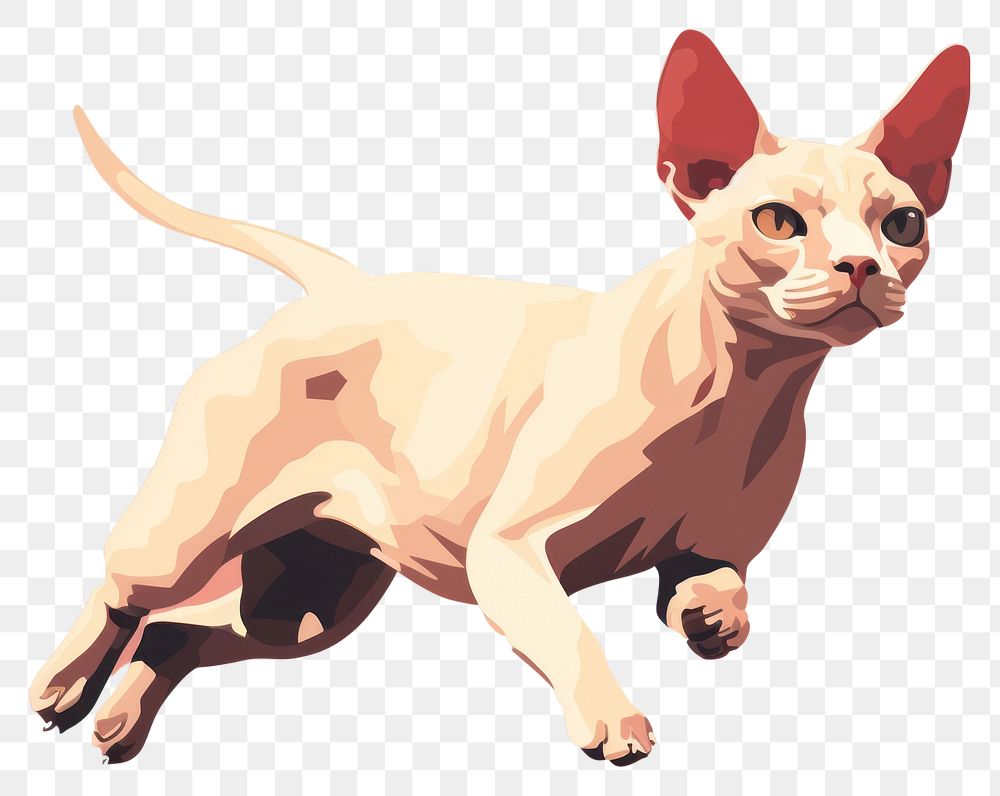 PNG Jumping sphynx act animal mammal pet. AI generated Image by rawpixel.