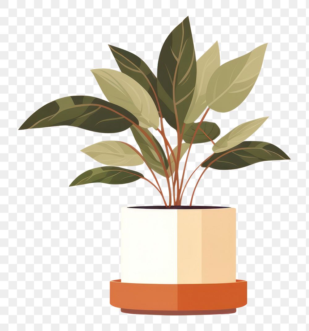 PNG Indoor plant vase leaf houseplant. AI generated Image by rawpixel.