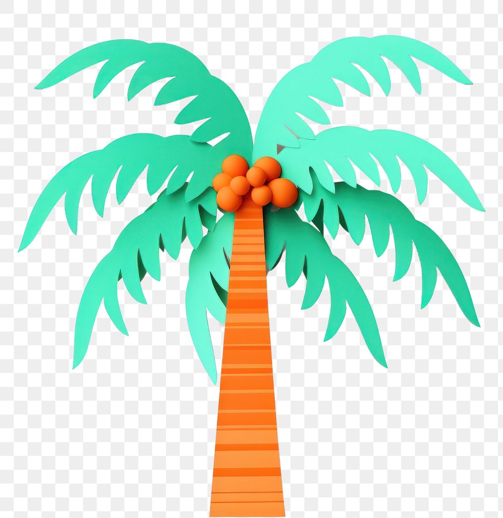 PNG Coconut tree plant white background representation. 