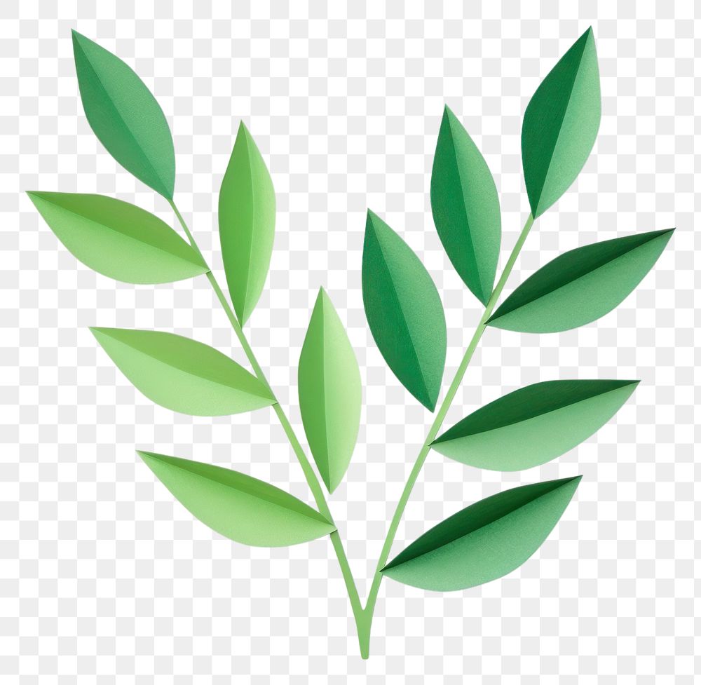 PNG Green leaf green plant herbs. AI generated Image by rawpixel.