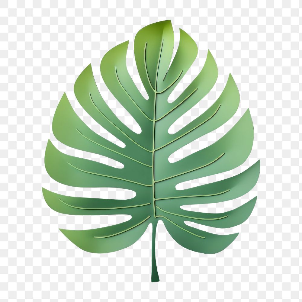 PNG Green Tropical leave plant | Premium PNG - rawpixel