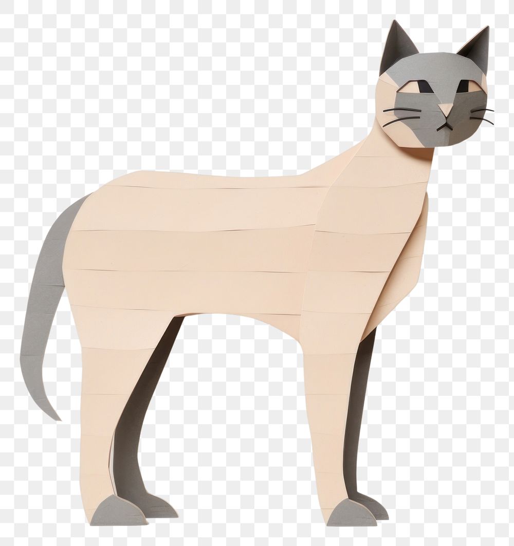 PNG Back cat mammal animal pet. AI generated Image by rawpixel.