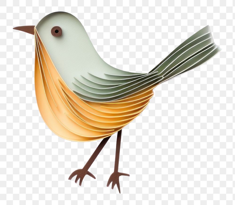 PNG Tailorbird animal art creativity. AI generated Image by rawpixel.