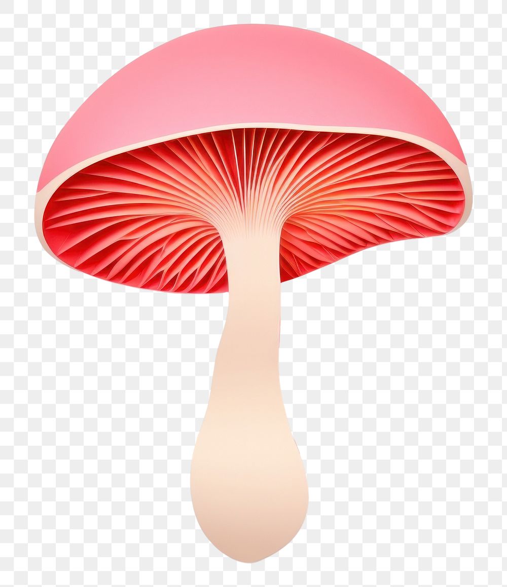 PNG Mushroom fungus agaric white background. AI generated Image by rawpixel.