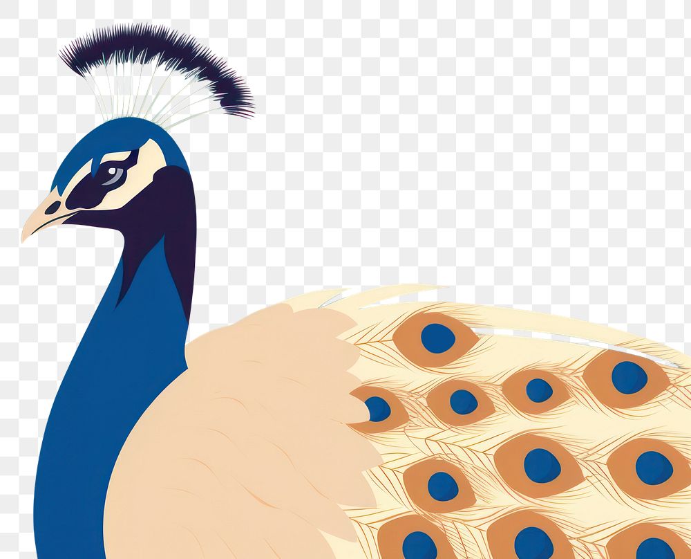 PNG Peacock wildlife animal bird. AI generated Image by rawpixel.