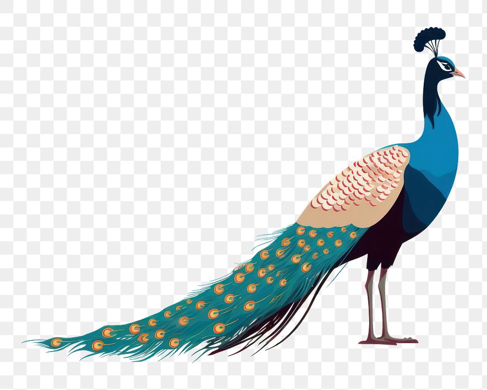 PNG Peacock wildlife animal bird. AI generated Image by rawpixel.