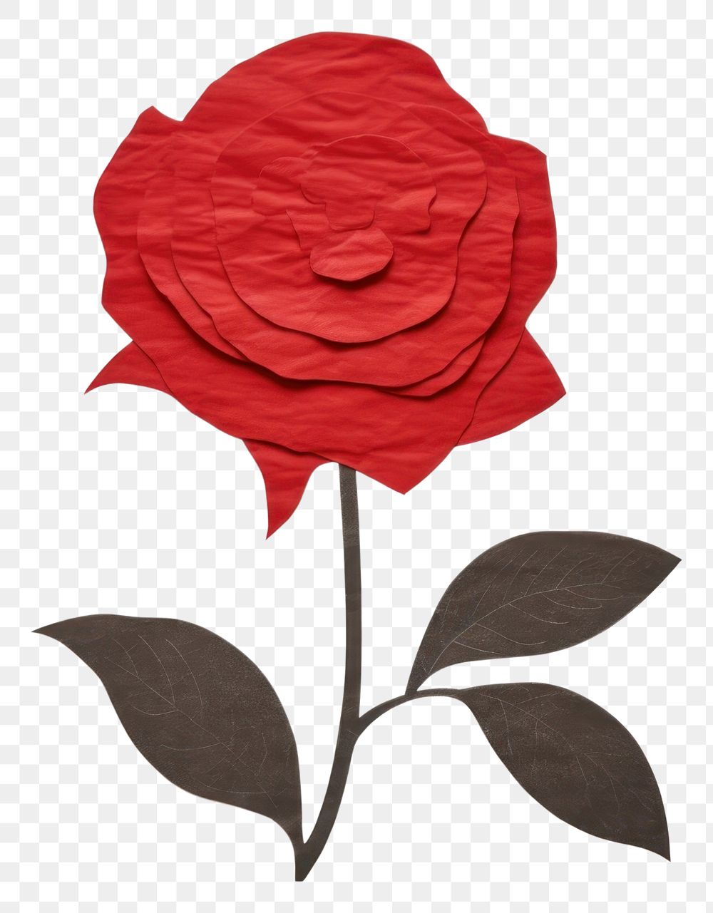 PNG Red Rose rose flower petal. 