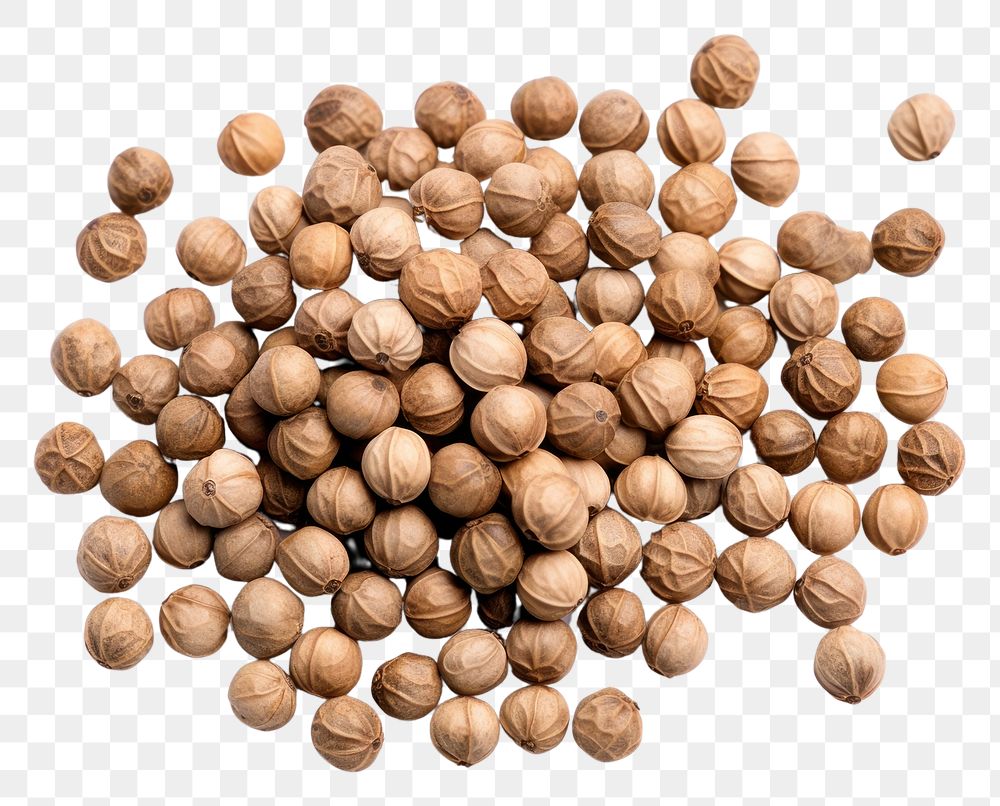 PNG Coriander seeds backgrounds vegetable food. 