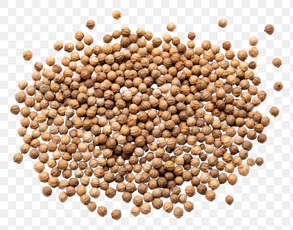 PNG Coriander seeds backgrounds food white background. AI generated Image by rawpixel.
