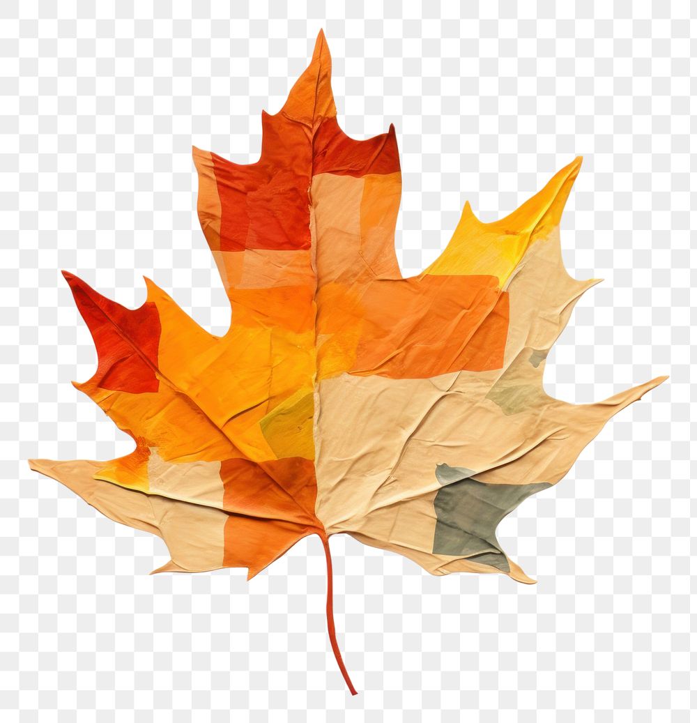 PNG Autumn leaf maple plant creativity. AI generated Image by rawpixel.